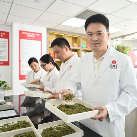 详解PC和手机上超好玩的单机游戏：从经典复刻到最新独立作品，让你乐趣无穷