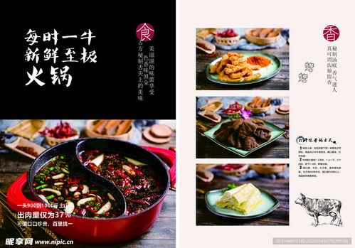 (我家大排档)免费下载我的大排档无广告版，享受纯净细致的美食体验