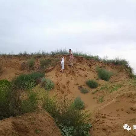 (车阵是什么意思?)深入解析‘车阵’的含义及其在交通管理和日常生活中的重要性