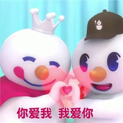 可爱卷毛蜜波利仓鼠：魅力十足的小伙伴