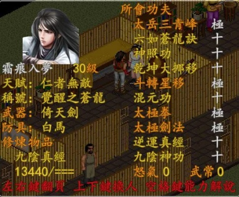 (苍龙逐日攻略武功获得方法)苍龙逐日攻略：揭秘武功传承与修炼的奥秘与技巧