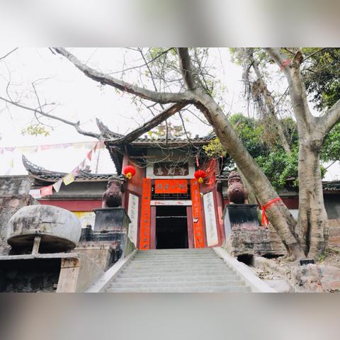 (八荒仙帝)八荒仙缘：踏遍神州，探寻仙道血脉与众生羁绊的传奇旅程