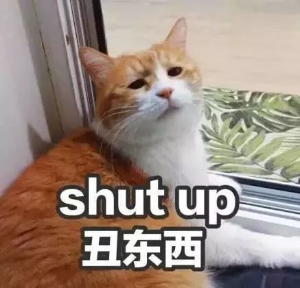 (在哪里可以找到更多可爱至极的换装应用)在哪里可以找到更多可爱至极的换装应用？